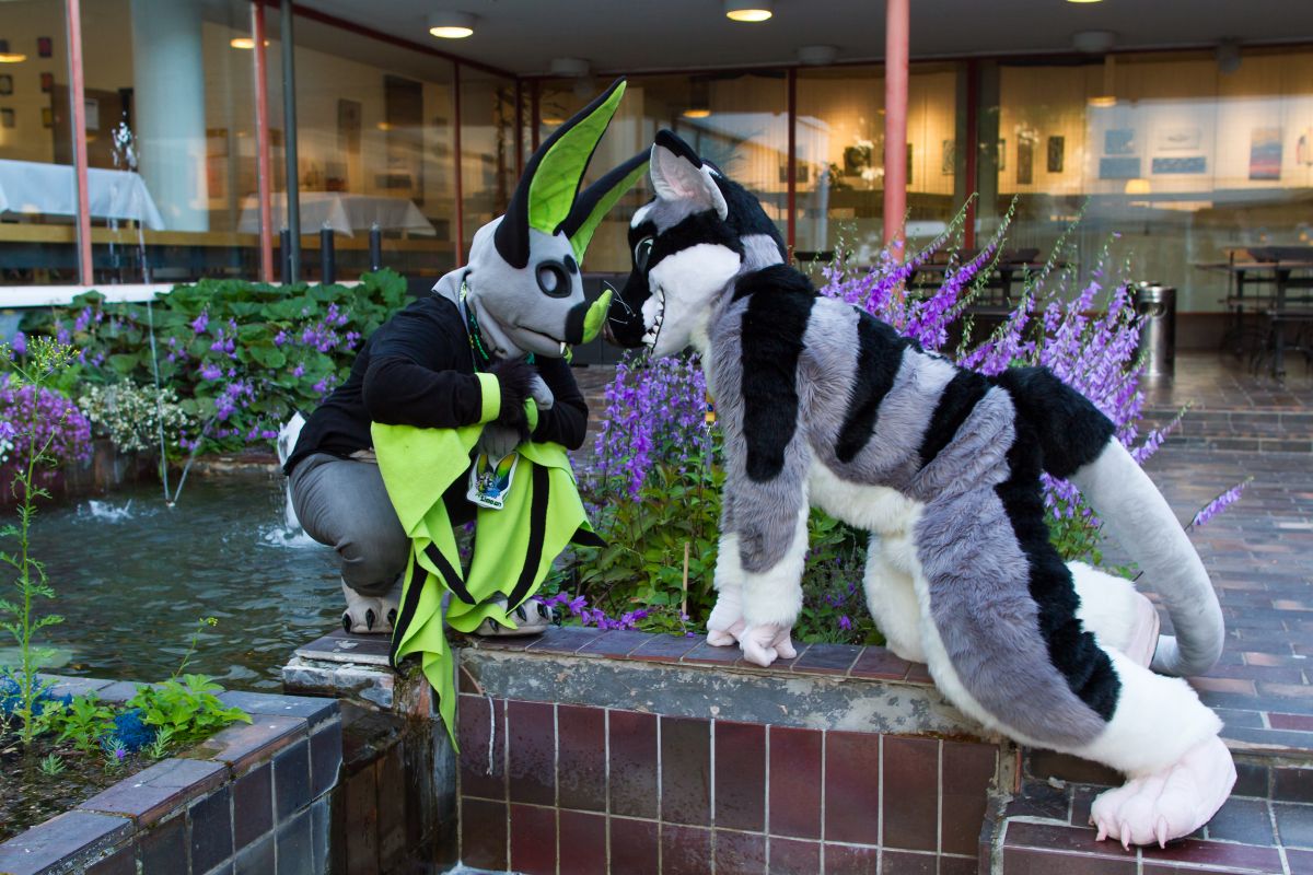 FinFur Animus 2018, Fursuits