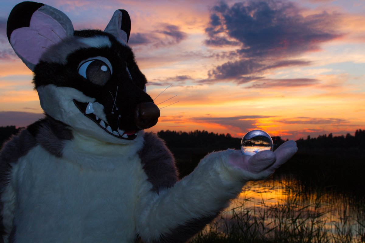FinFur Animus 2018