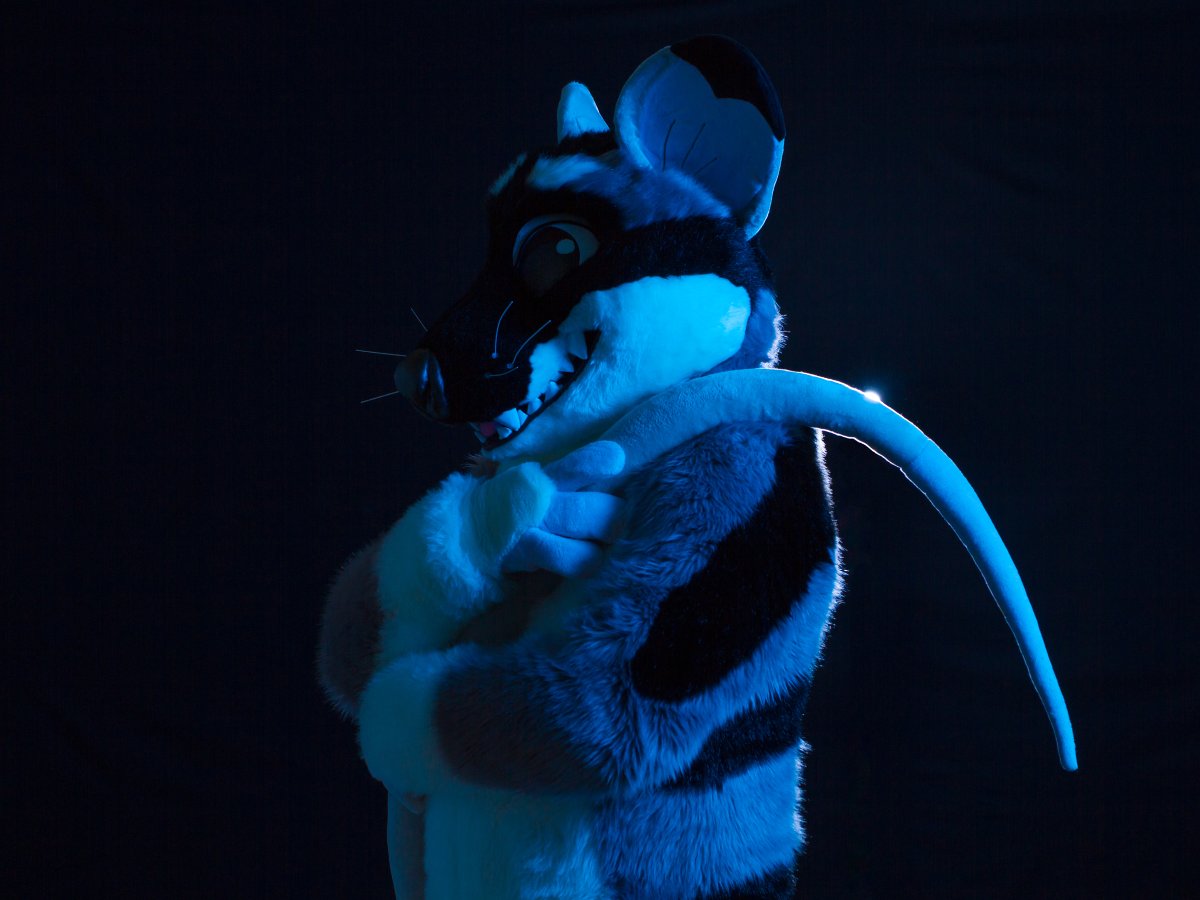 FinFur Animus 2018, Photoshoot