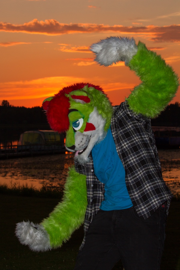 FinFur Animus 2018, Fursuits
