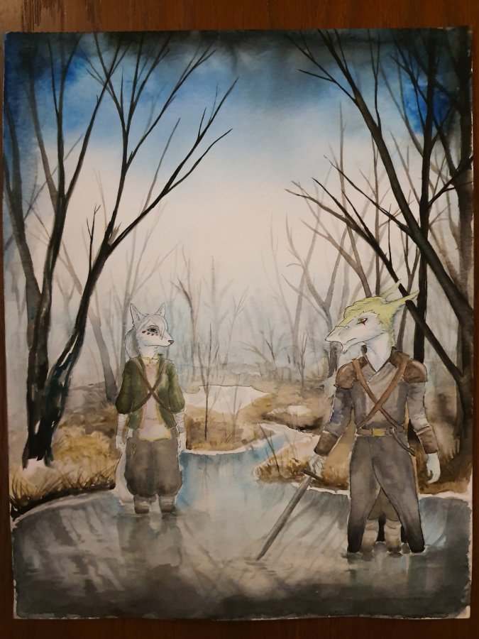 FinFur Animus 2019, Other photos