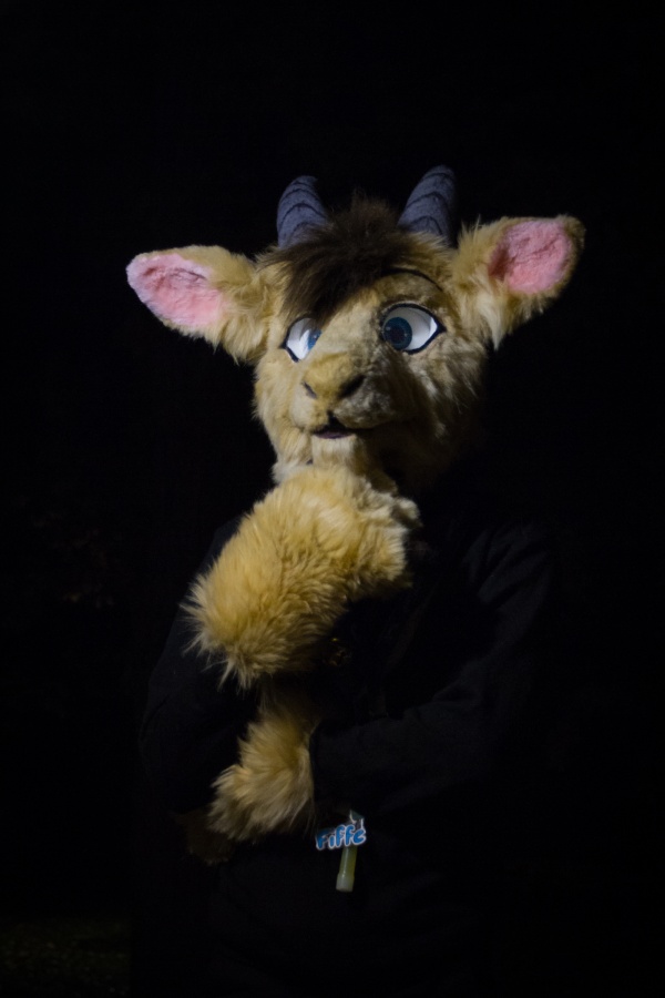 FinFur Animus 2019, Fursuiters