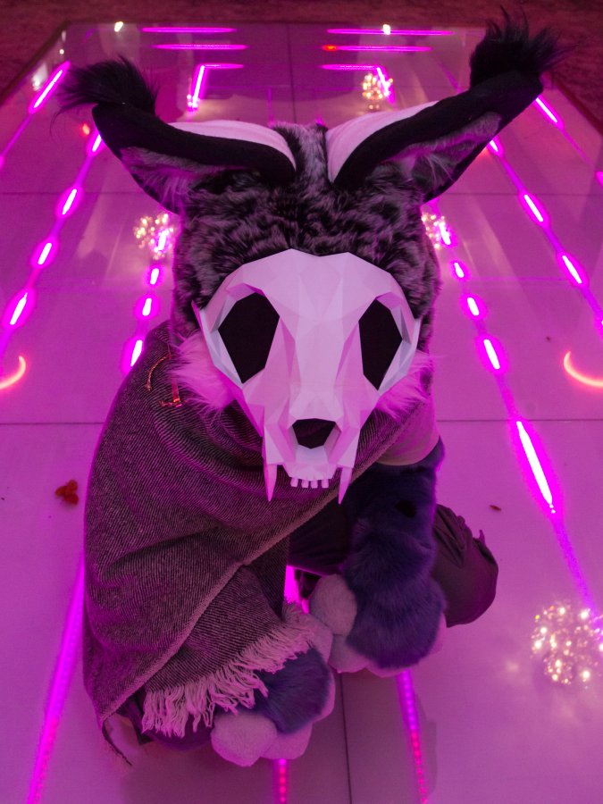 FinFur Animus 2019, Fursuiters