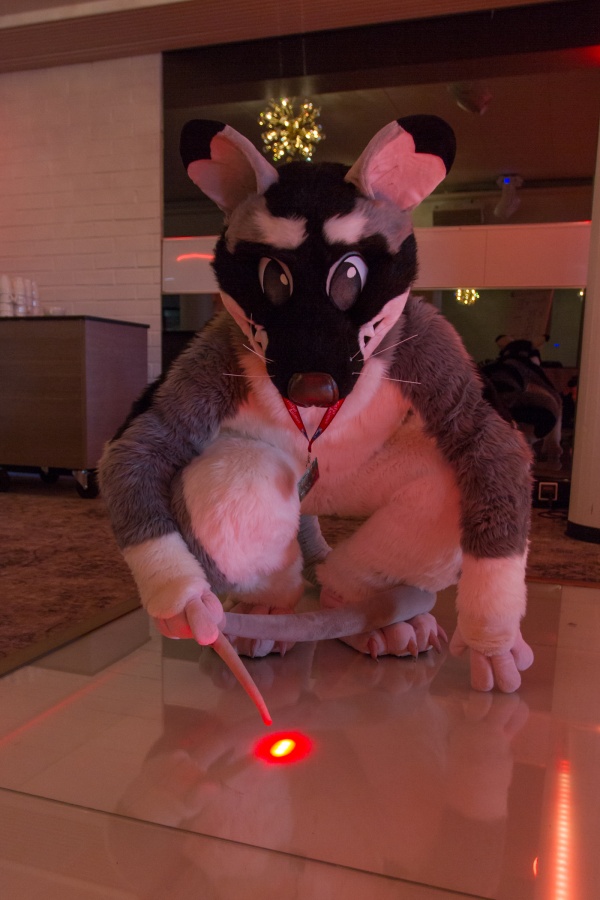 FinFur Animus 2019, Fursuiters