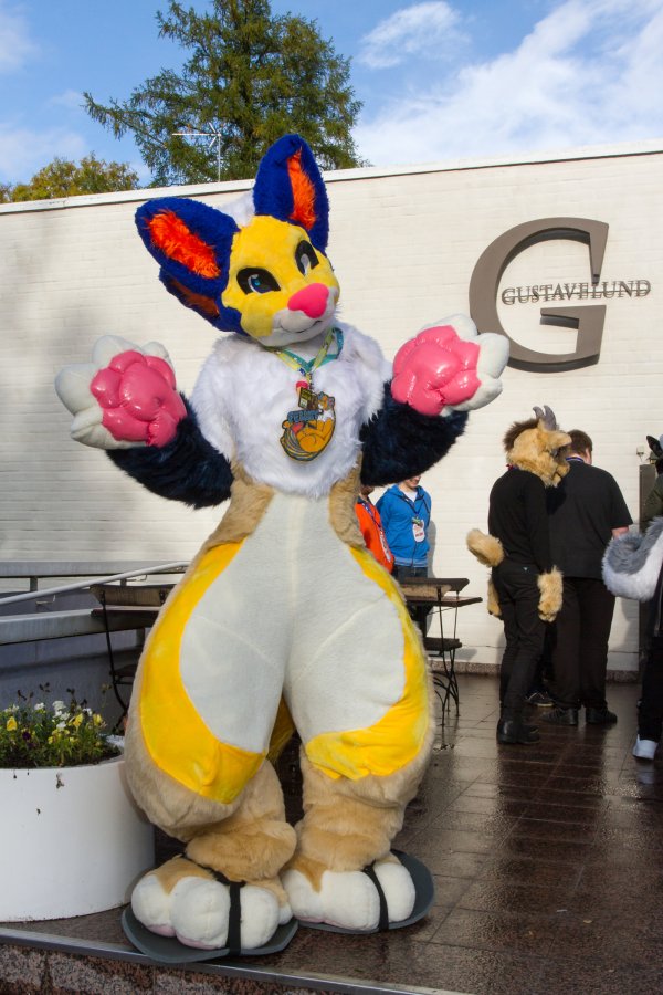 FinFur Animus 2019, Fursuiters