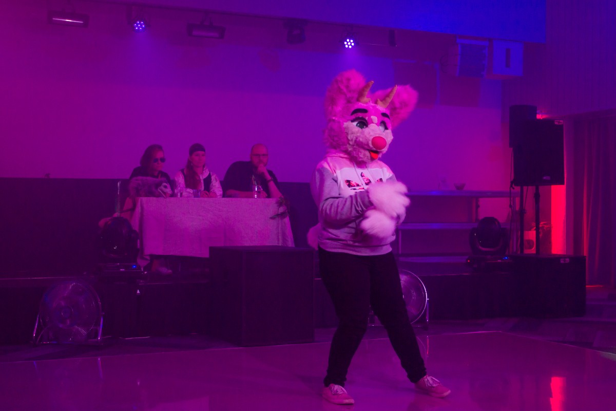 FinFur Animus 2019, Fursuiters