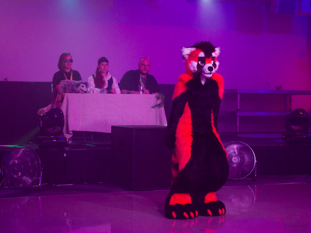 FinFur Animus 2019