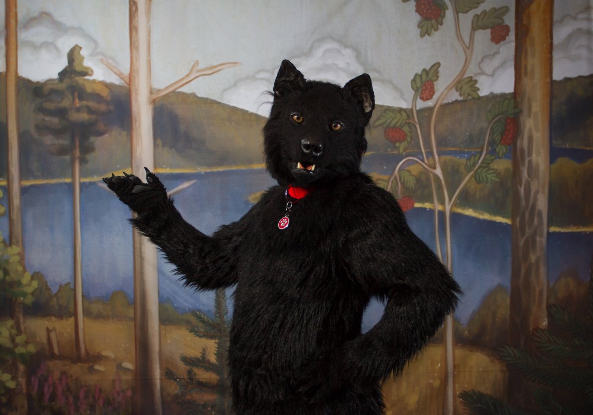 FinFur Animus 2019, Photoshoot
