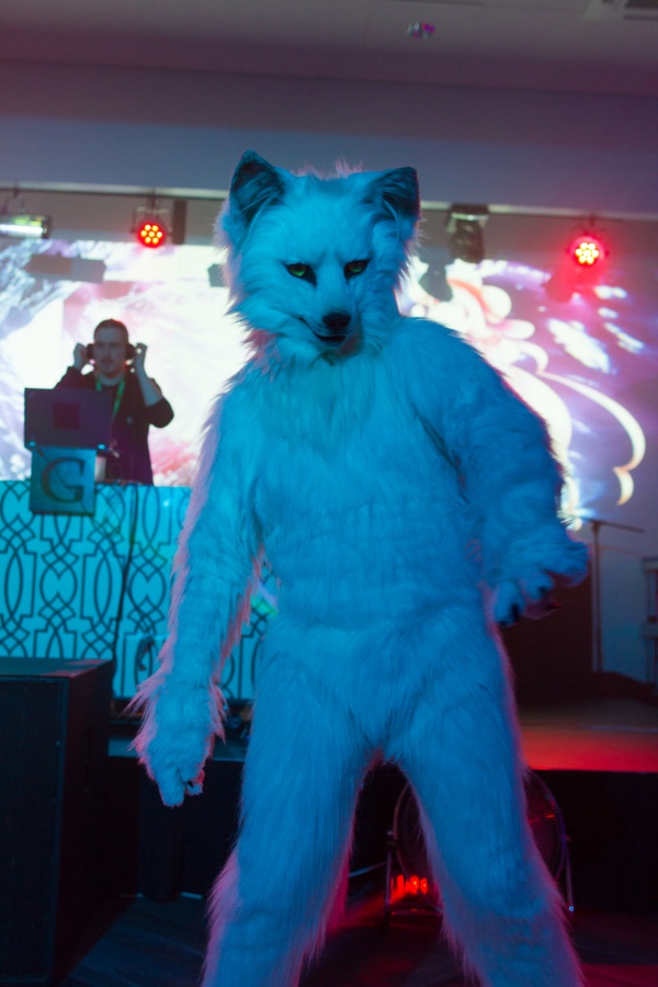 FinFur Animus 2019