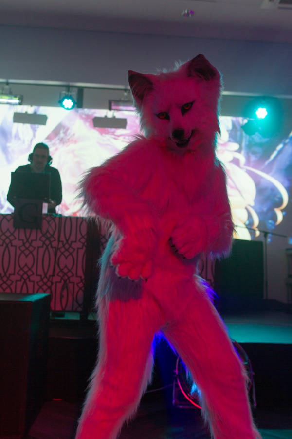 FinFur Animus 2019, Fursuiters