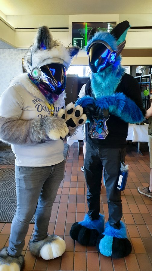 FinFur Animus 2022, Fursuits
