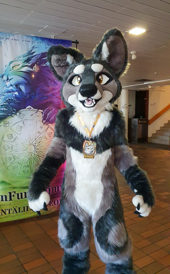 FinFur Animus 2022, Fursuits