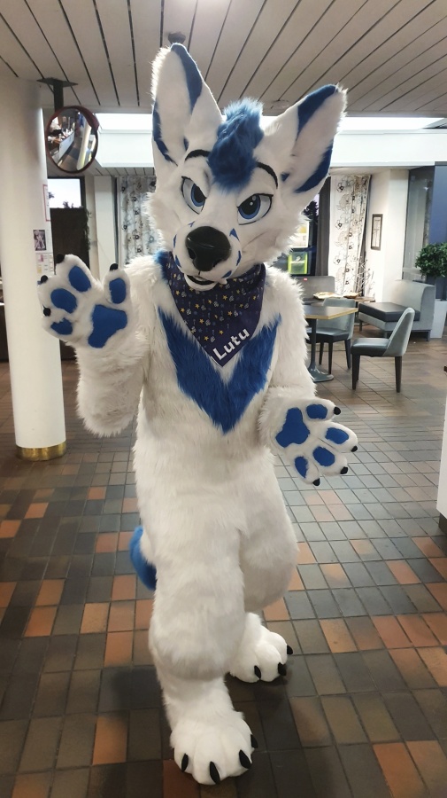 FinFur Animus 2022, Fursuits