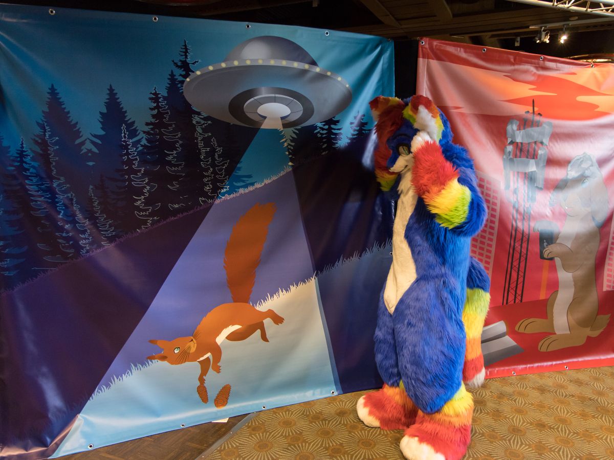 FinFur Animus 2022, Tinka