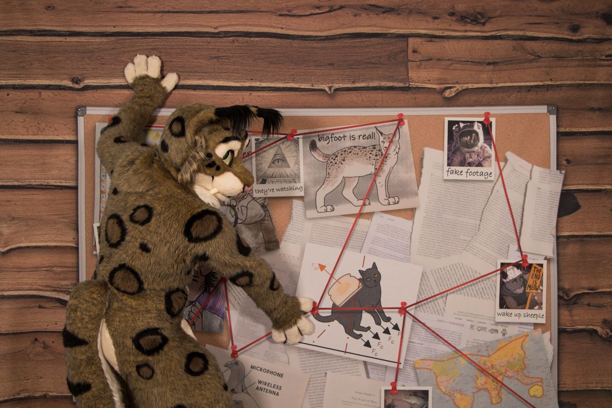 FinFur Animus 2022, Photoshoot