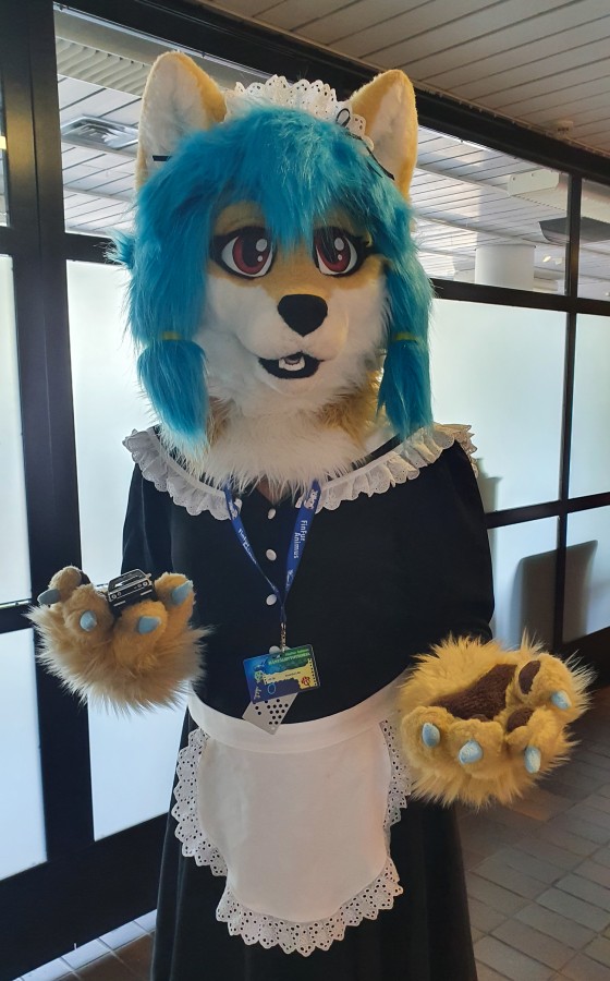FinFur Animus 2022, Fursuits