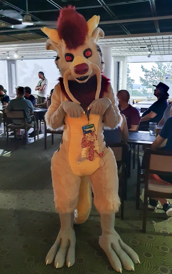FinFur Animus 2022, Fursuits