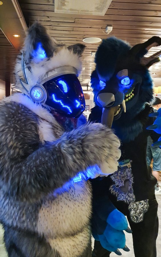 FinFur Animus 2022, Fursuits