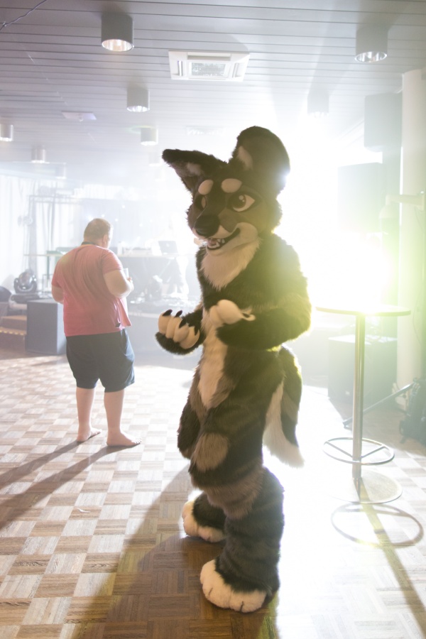 FinFur Animus 2022, Fursuits