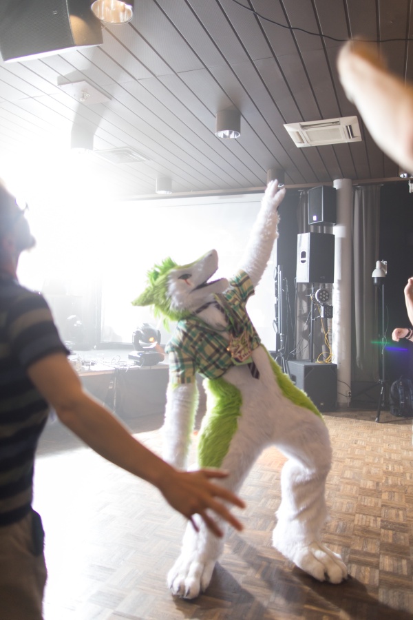 FinFur Animus 2022, Fursuits