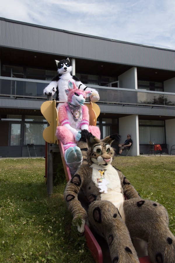 FinFur Animus 2022, Fursuits