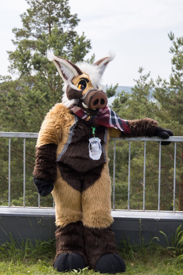 FinFur Animus 2022, Fursuits