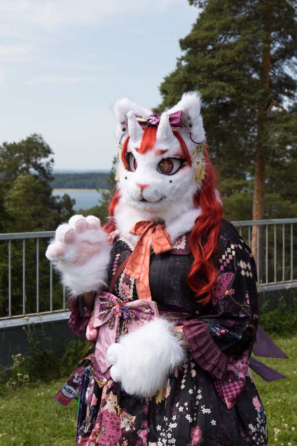 FinFur Animus 2022, Fursuits