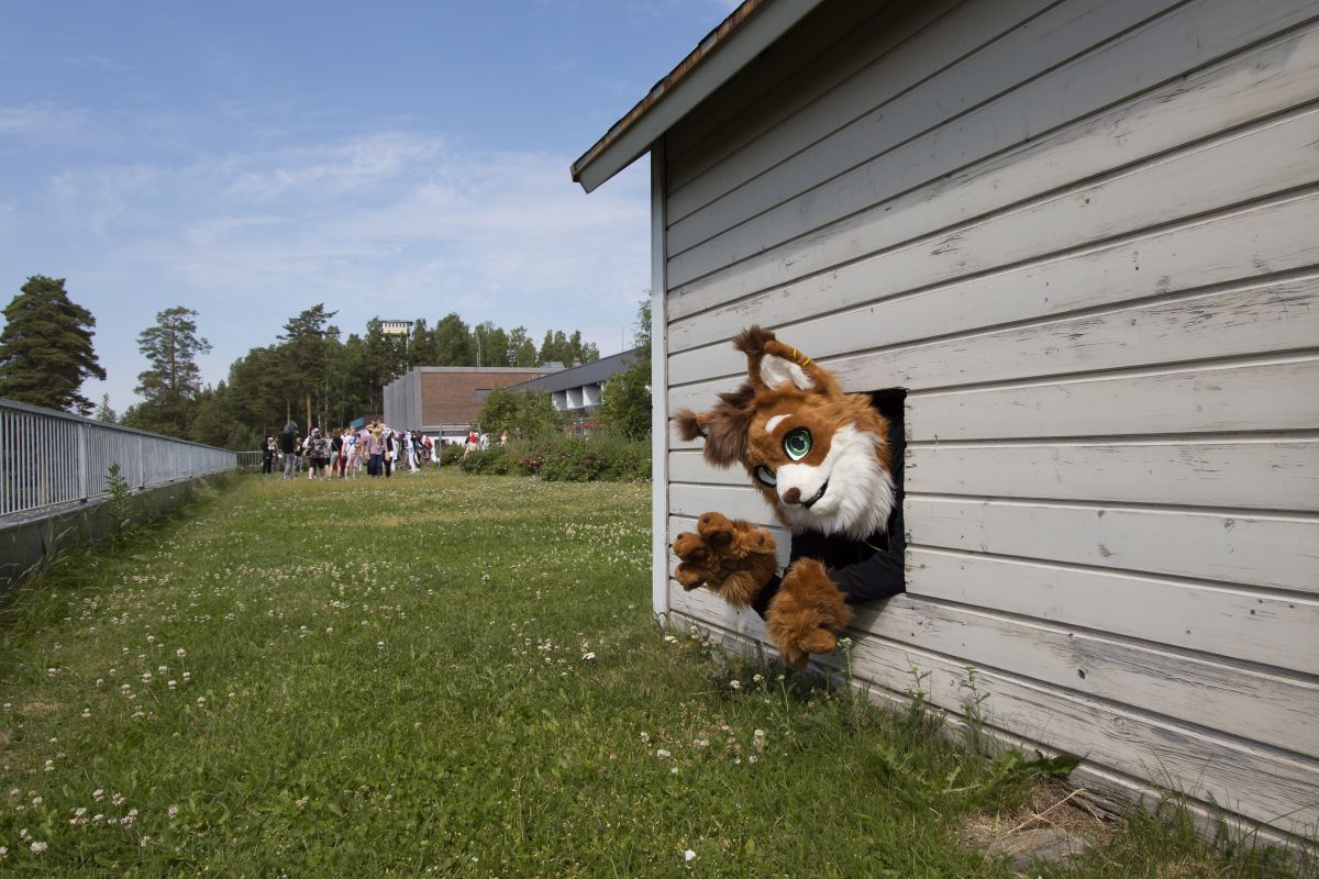 FinFur Animus 2022, Fursuits