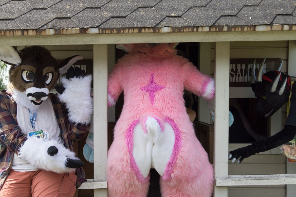 FinFur Animus 2022, Fursuits