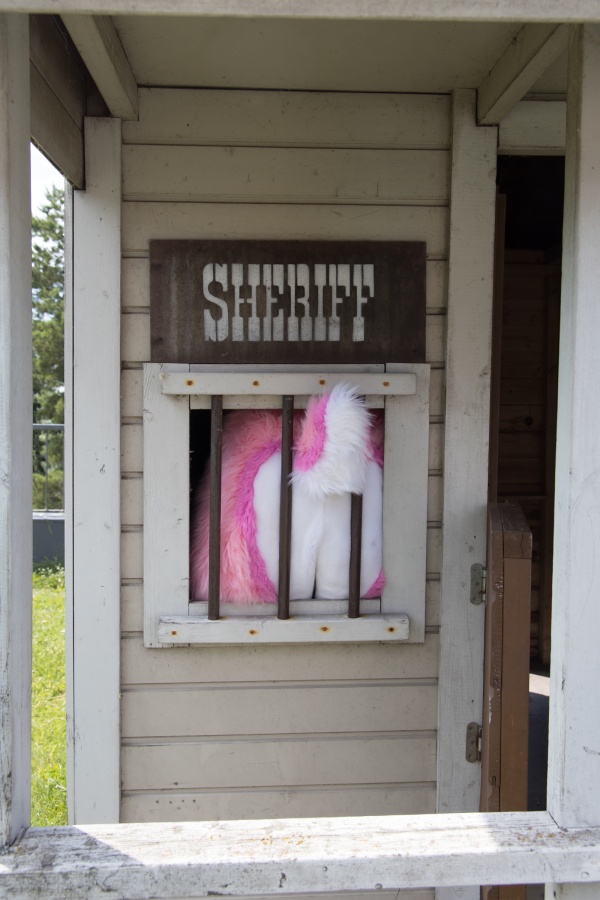 FinFur Animus 2022, Fursuits