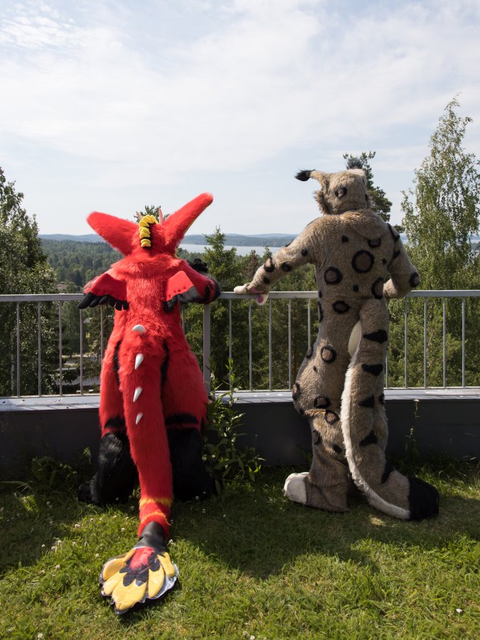 FinFur Animus 2022, Fursuits