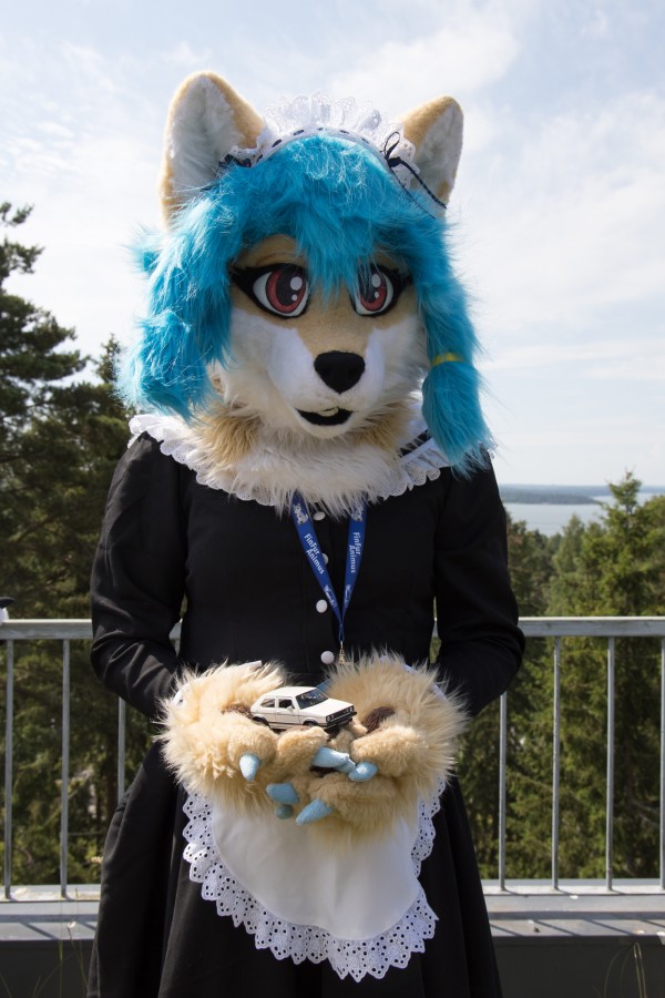 FinFur Animus 2022, Fursuits