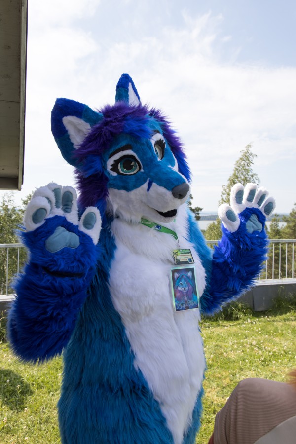 FinFur Animus 2022, Fursuits