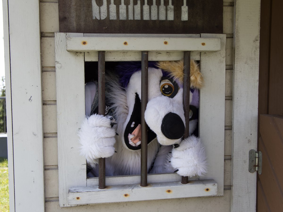 FinFur Animus 2022, Fursuits