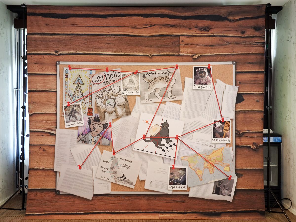 FinFur Animus 2022, Other photos