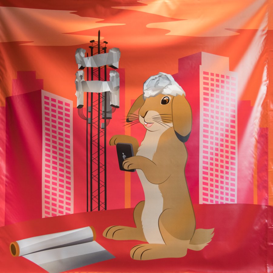 FinFur Animus 2022, Other photos