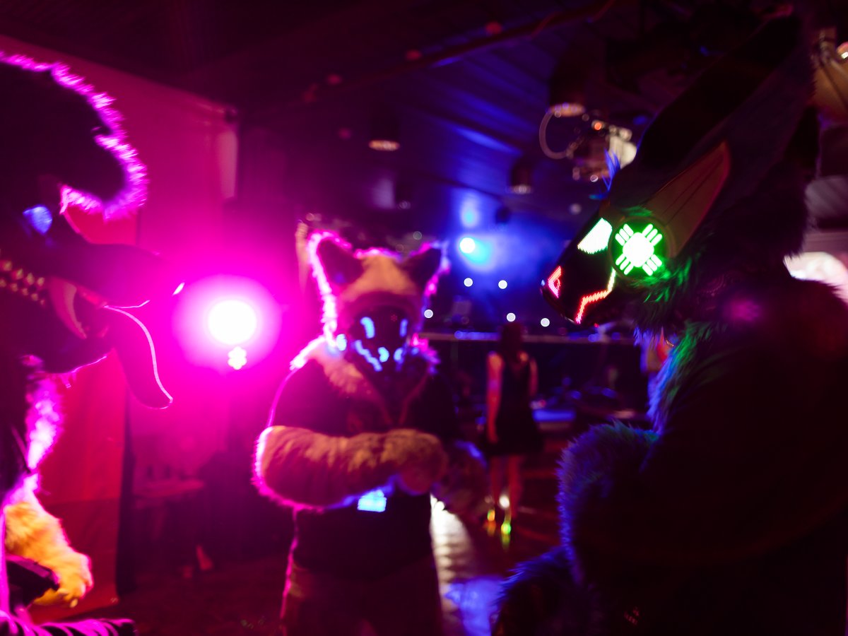 FinFur Animus 2022, Fursuits
