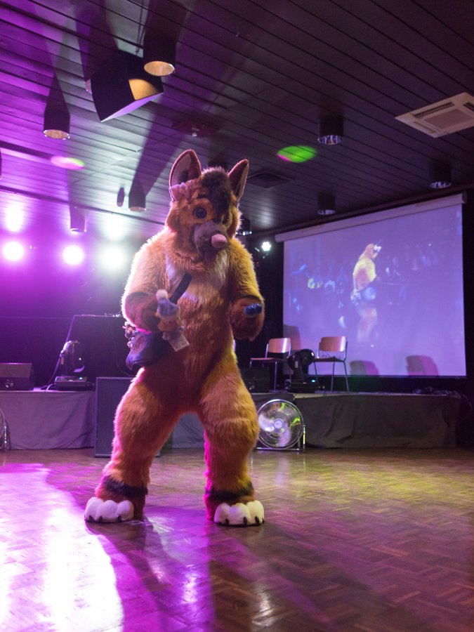 FinFur Animus 2023, Fursuits