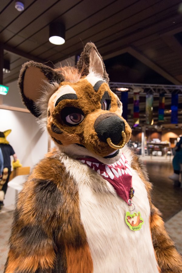 FinFur Animus 2023, Fursuits