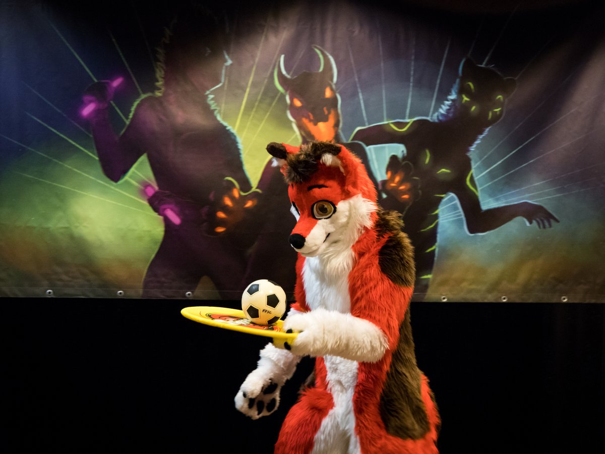 FinFur Animus 2023, Fursuits