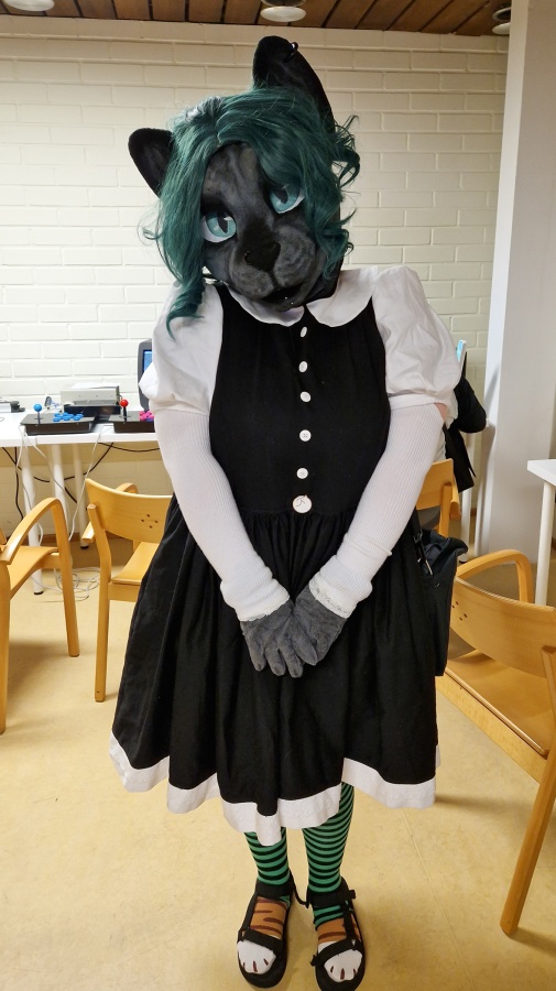 FinFur Animus 2023, Fursuits