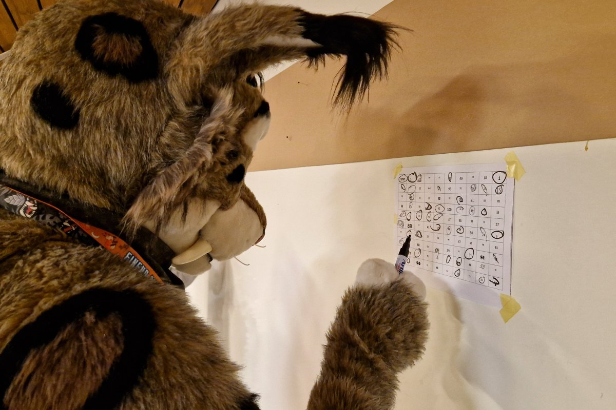 FinFur Animus 2024, Fursuits