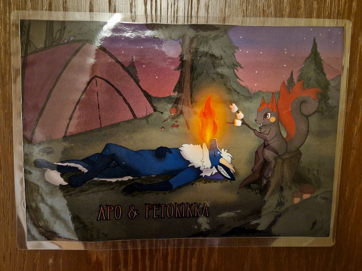 FinFur Animus 2024, Other photos
