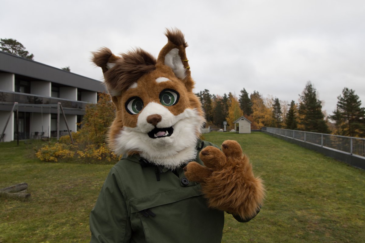 FinFur Animus 2024, Fursuits