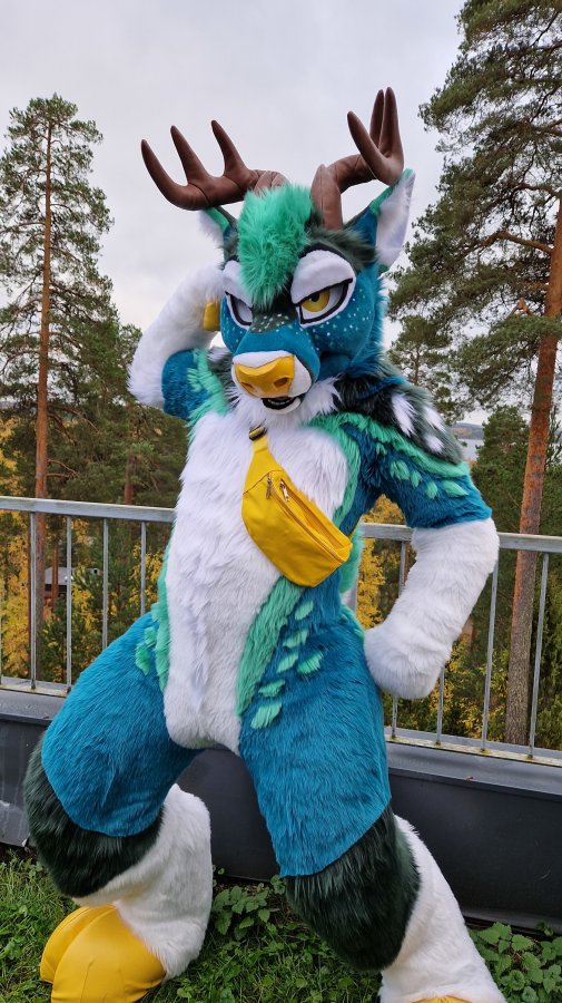 FinFur Animus 2024, Fursuits