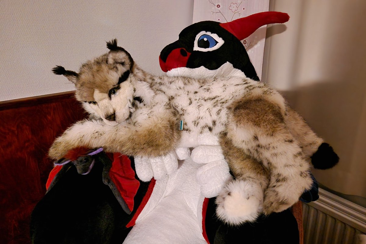 FinFur Animus 2024, Other photos