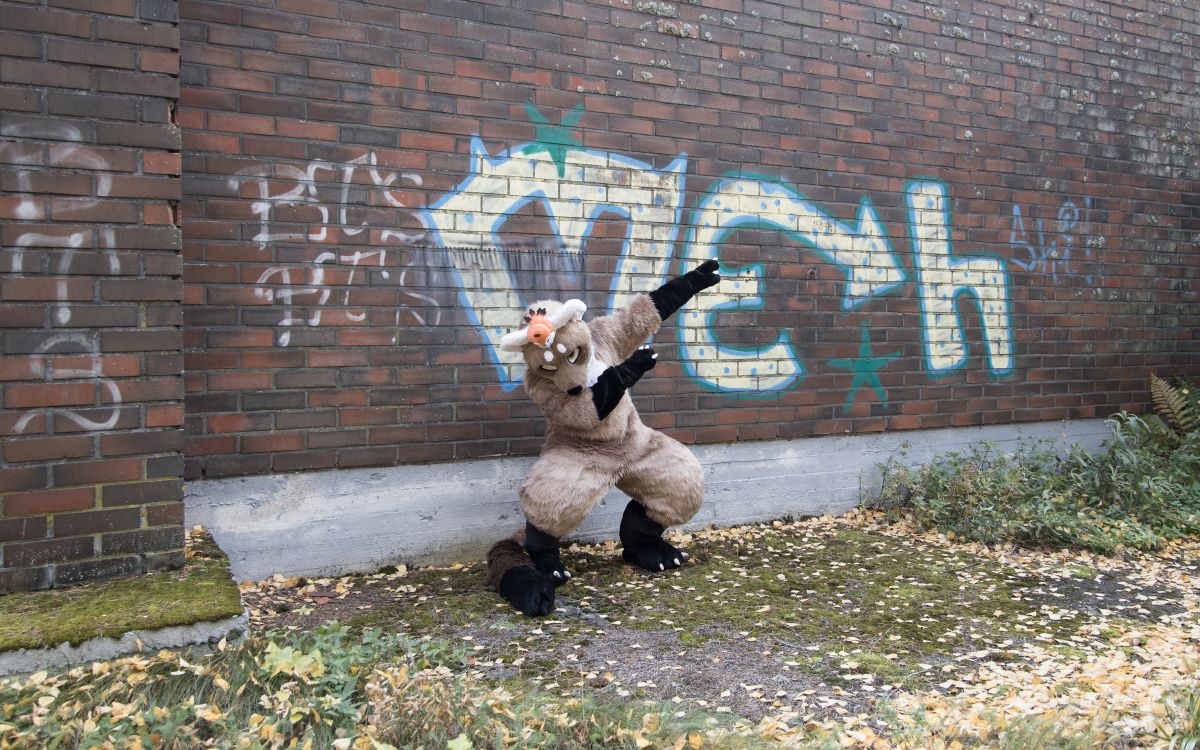 FinFur Animus 2024, Ooka