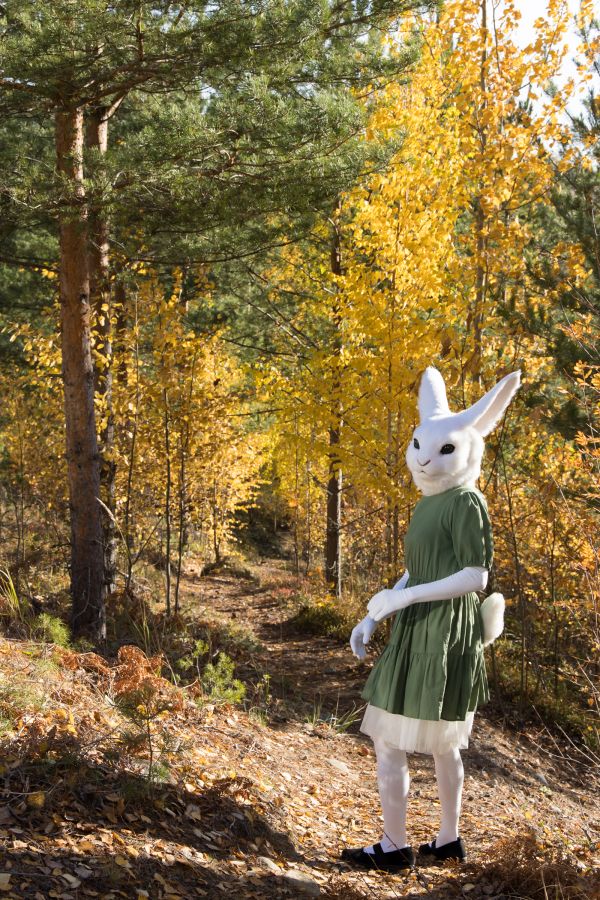 FinFur Animus 2024, Lumie bunny