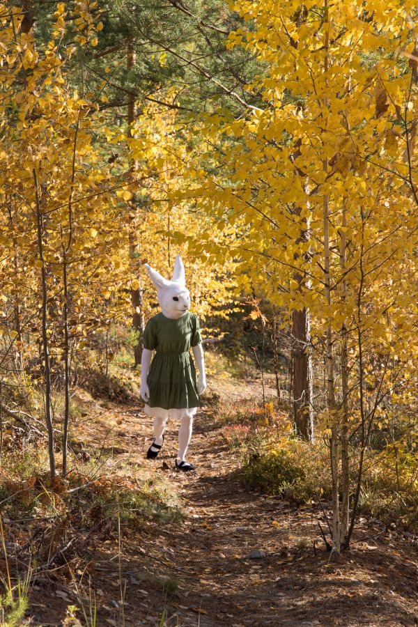 FinFur Animus 2024, Lumie bunny