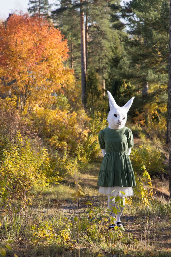FinFur Animus 2024, Lumie bunny